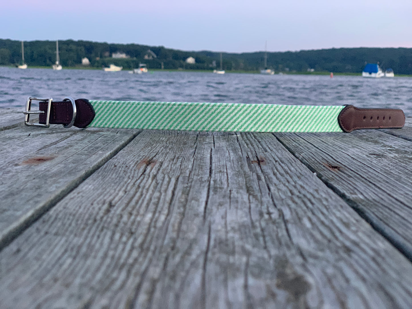 Green Seersucker Needlepoint Dog Collar