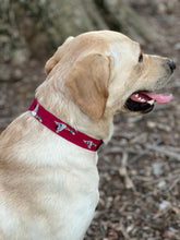 Load image into Gallery viewer, Mallard Dog Collar
