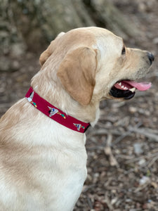 Mallard Dog Collar