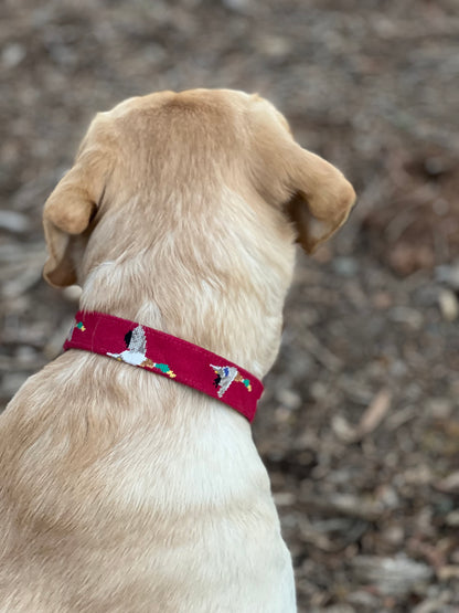 Mallard Dog Collar