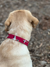 Load image into Gallery viewer, Mallard Dog Collar
