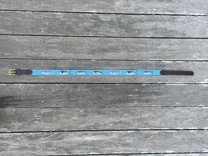 Salt Water Fish Needlepoint Belt